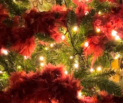 Podcast Tip! NAH achter de voordeur