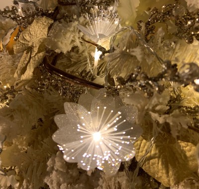 Ben jij al geweest? Steeds meer Parkinson- en Yoppers Cafés in het land