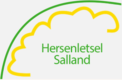 Bijeenkomst door Hersenletselnetwerk Salland ‘Ervaringsdeskundigheid’ op 20 juni 2024 in Deventer