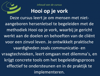 Bijna! Cursus ‘Werken met het begeleidingsmodel Hooi op je vork’ start 7 oktober 2025 in Den Bosch