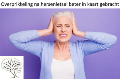 De MESSY: Overprikkeling na hersenletsel beter in kaart gebracht 