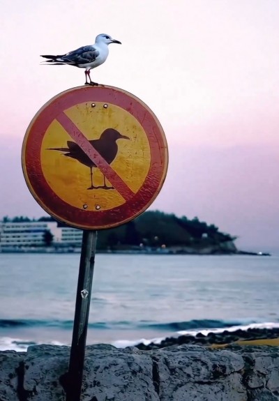 Themamiddag ‘NAH kracht en ontmoeting’ op 12 mei 2026 in Terborg