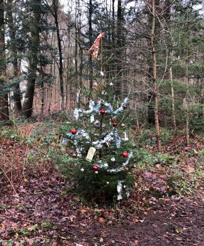 ‘In balans tijdens de feestdagen’ is thema van NAH Café op 25 november 2025 in Hardenberg