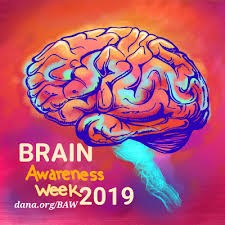 Brain awareness week (11 t/m 17 maart). De internationale week waarin hersenonderzoek centraal staat